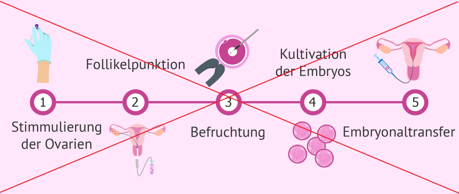 https://babygest.com/de/fachleute-in-der-leihmutterschaft/ivf-behandlung/